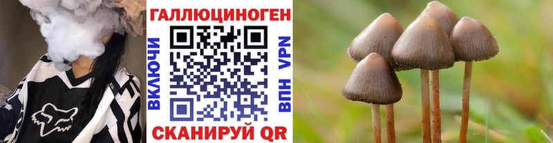 дарнет шоп Кондрово Галлюциногенные грибы Magic Shrooms